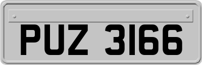 PUZ3166
