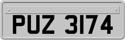 PUZ3174
