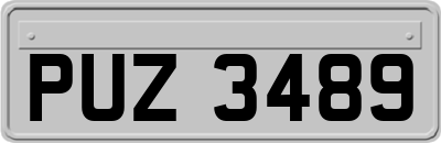PUZ3489