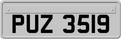 PUZ3519