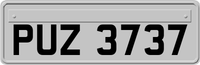 PUZ3737