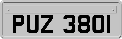 PUZ3801
