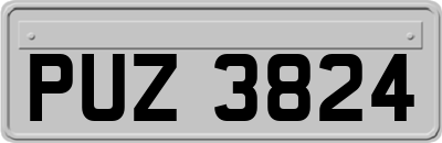 PUZ3824