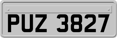 PUZ3827