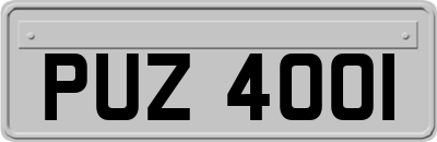 PUZ4001