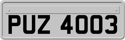 PUZ4003