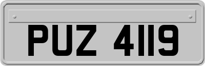 PUZ4119