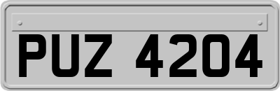 PUZ4204