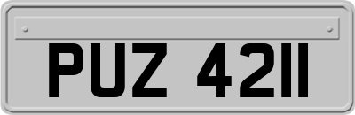 PUZ4211