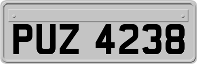 PUZ4238