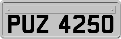 PUZ4250