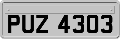 PUZ4303