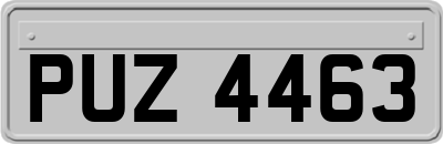 PUZ4463