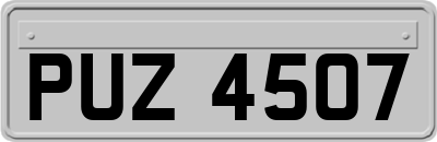 PUZ4507