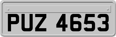 PUZ4653