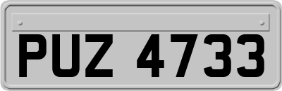 PUZ4733