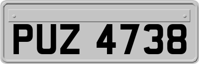 PUZ4738