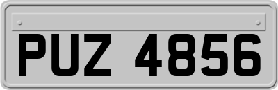 PUZ4856
