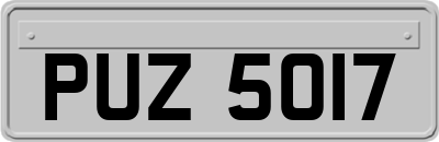 PUZ5017
