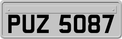 PUZ5087