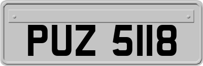 PUZ5118