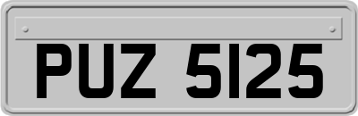 PUZ5125