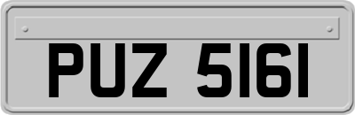 PUZ5161