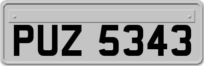 PUZ5343