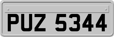 PUZ5344