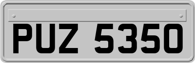 PUZ5350