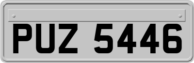 PUZ5446