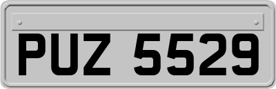 PUZ5529