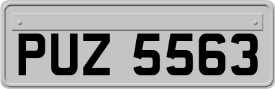 PUZ5563