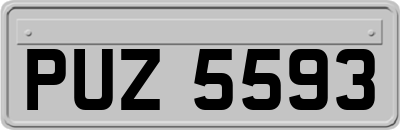 PUZ5593