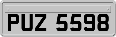 PUZ5598
