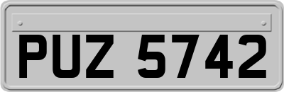 PUZ5742