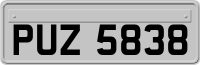 PUZ5838