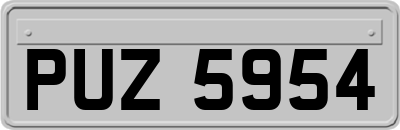 PUZ5954