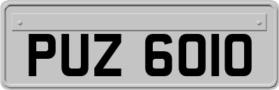 PUZ6010