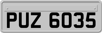 PUZ6035