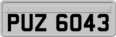 PUZ6043