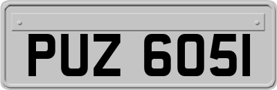 PUZ6051