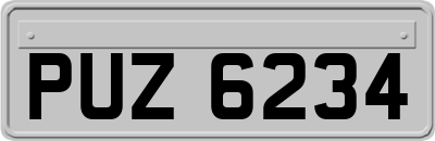 PUZ6234