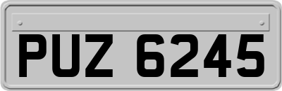 PUZ6245