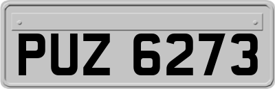 PUZ6273