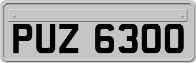 PUZ6300