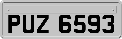 PUZ6593