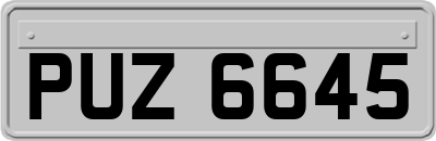 PUZ6645