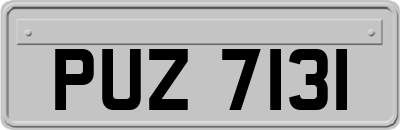 PUZ7131