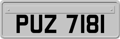 PUZ7181